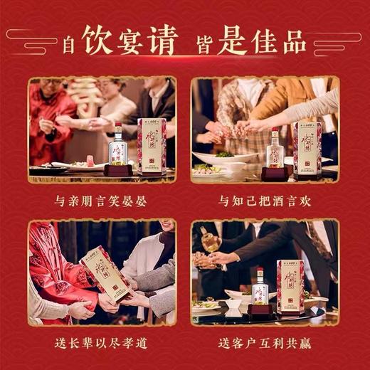 52°水井坊·甄酿八号  一瓶装 商品图3