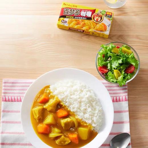 【专供】百梦多咖喱 商品图2