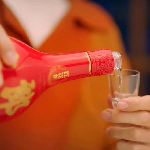 53°红花郎·红十  一瓶装 商品图2