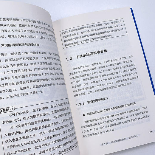 下沉市场 渠道建立 用户分析与本地化运营 单兴华 著 管理 商品图1