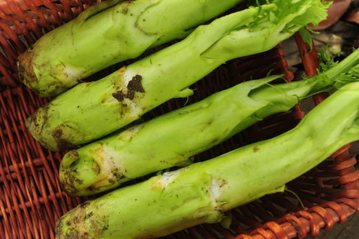 棒菜/老品种棒菜(500g) 商品图3