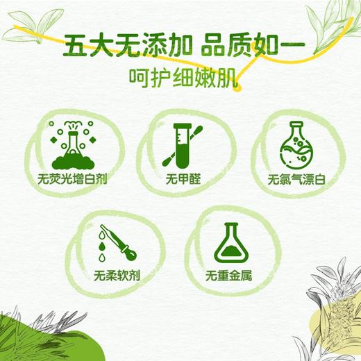 （直播）ABC卫生巾澳洲茶树精华夜用特长420mm棉柔甜睡姨妈巾 商品图3