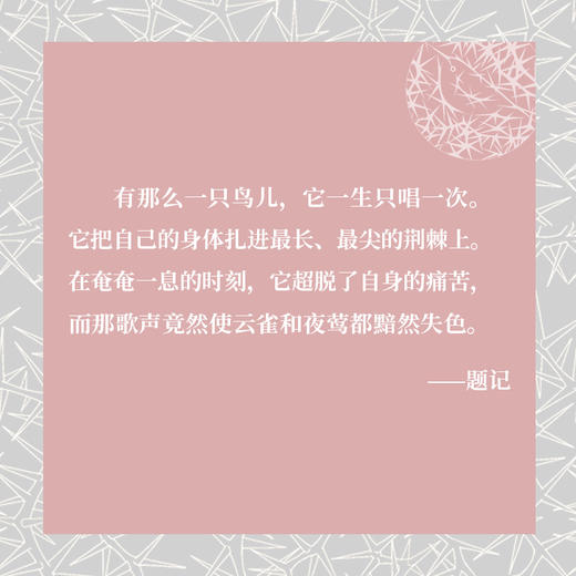 荆棘鸟 考琳·麦卡洛等 著 小说 商品图1