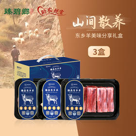 碧乡东乡羊美味分享礼盒