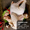 【包邮】北京油鸡  杂粮喂养  老母鸡  急冻锁鲜  母鸡煲汤鲜 1只   煲汤佳品 商品缩略图6