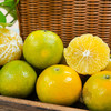 【广西特产】皇帝柑 广西皇帝柑  贡柑 新鲜水果 清甜可口   皮薄多汁  现摘现发 商品缩略图2