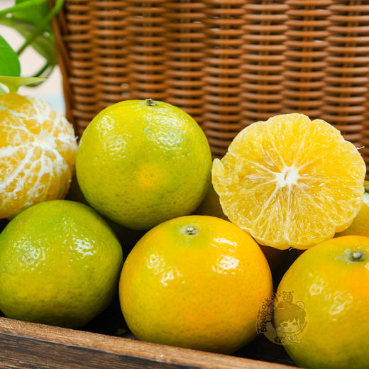 【广西特产】皇帝柑 广西皇帝柑  贡柑 新鲜水果 清甜可口   皮薄多汁  现摘现发 商品图2