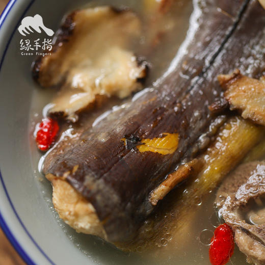 野生东山岛土龙（食蟹豆齿鳗）| 合作生产*Wild Pisoodonophis cancrivorus | Coprodution 商品图6