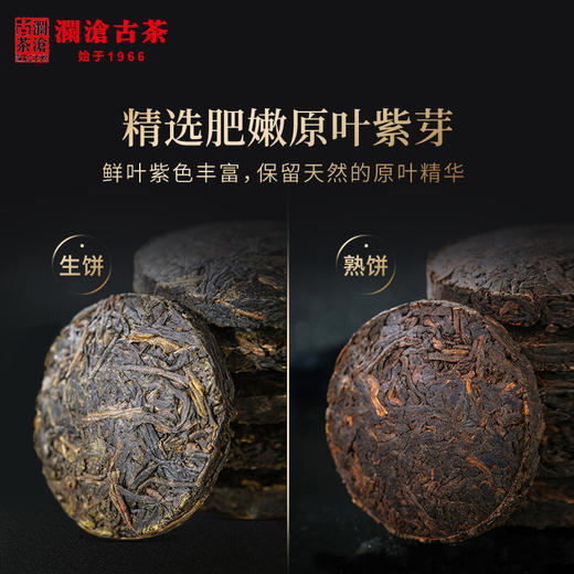 澜沧古茶紫龙玉饼普洱茶生茶熟茶云南紫芽茶叶送礼盒装迷你小茶饼 商品图2