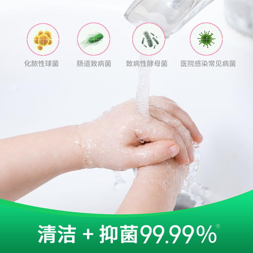 滴露玻尿酸泡沫洗手液西柚+青柠+花香 商品图4