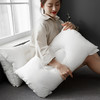 开诚Kaseen全棉双层鲍鱼枕单只/对枕39*64*20cm【品牌直发】A-1412 商品缩略图11