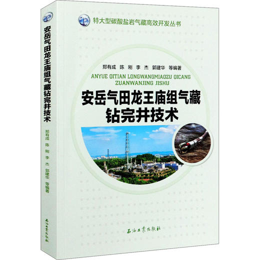 安岳气田龙王庙组气藏钻完井技术 商品图0