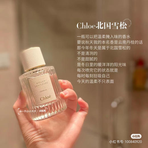 仙气飘飘！Chole蔻依仙境花园系列北国雪松/木兰诗语/烟雨茉莉女士香水50ml/150ml清新女士香氛 送香水礼品袋【CDF】 商品图12