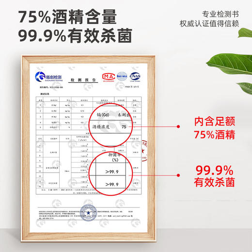 抑菌消毒免洗洗手液凝胶 便携式家庭装任选 商品图1