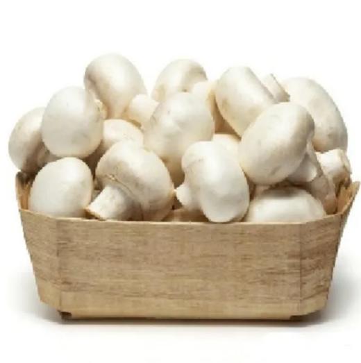 口蘑（盒） 商品图0