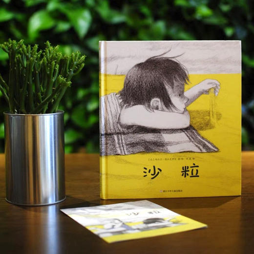 沙粒+眼泪-全两册 商品图2