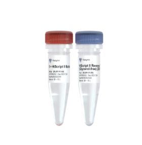 HiScript II Reverse Transcriptase (Glycerol-free)