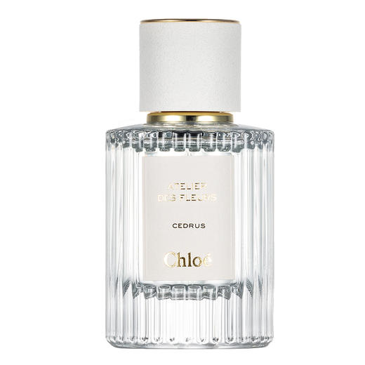 仙气飘飘！Chole蔻依仙境花园系列北国雪松/木兰诗语/烟雨茉莉女士香水50ml/150ml清新女士香氛 送香水礼品袋【CDF】 商品图13