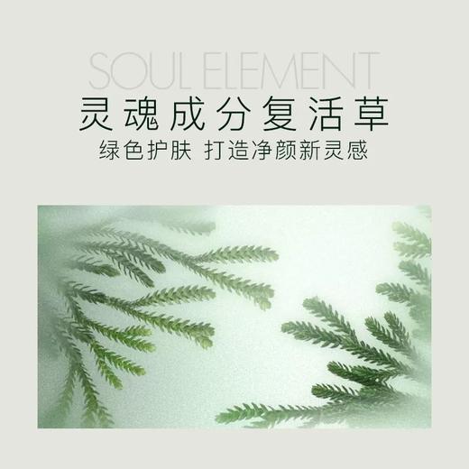 【第2件19.9丨购满2件送山茶花面膜*2片】[小滋特惠]ZEESEA滋色净澈舒颜卸妆湿巾单片装*20片（拍下2件立减） 商品图4