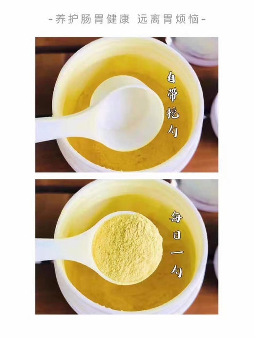 NC养胃粉胃酸胀气幽门口气消化肠胃 墨姐澳洲代购 商品图2