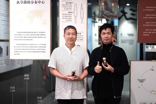 【元尊生工金粒充沛蛹虫草片】虫草素≥6000μg/g高含量 30片/瓶 商品图5