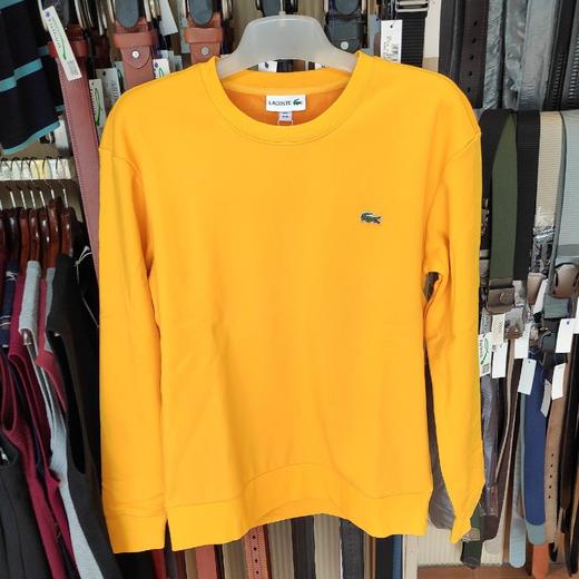 圆领加绒卫衣9002 商品图0