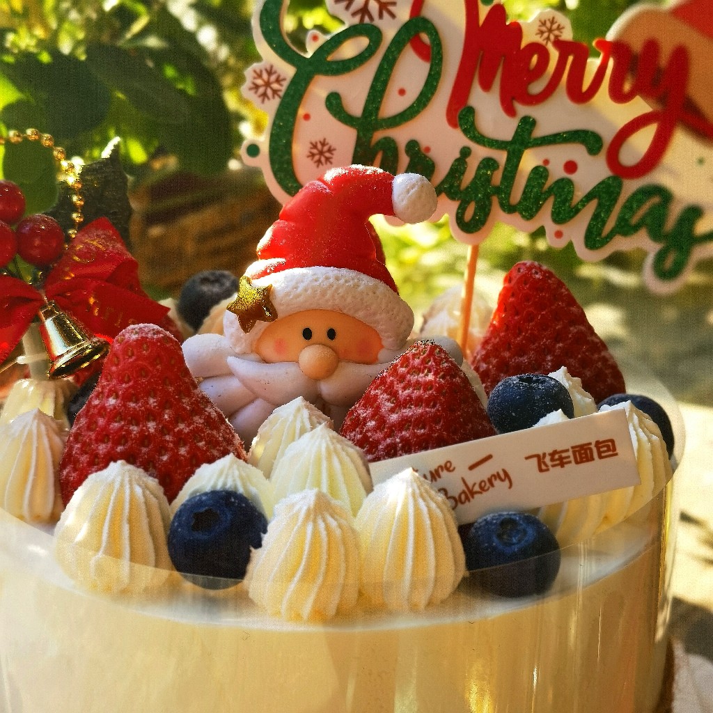 双莓踏雪圣诞蛋糕