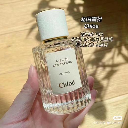 仙气飘飘！Chole蔻依仙境花园系列北国雪松/木兰诗语/烟雨茉莉女士香水50ml/150ml清新女士香氛 送香水礼品袋【CDF】 商品图8