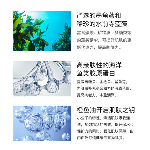 SEA ESSENCE 海洋呵护海藻面霜 55g（赠橙鱼油小瓶装5ml） 商品图2