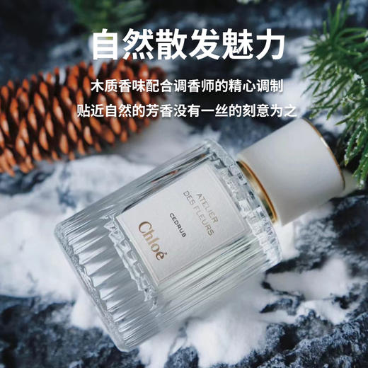 仙气飘飘！Chole蔻依仙境花园系列北国雪松/木兰诗语/烟雨茉莉女士香水50ml/150ml清新女士香氛 送香水礼品袋【CDF】 商品图9