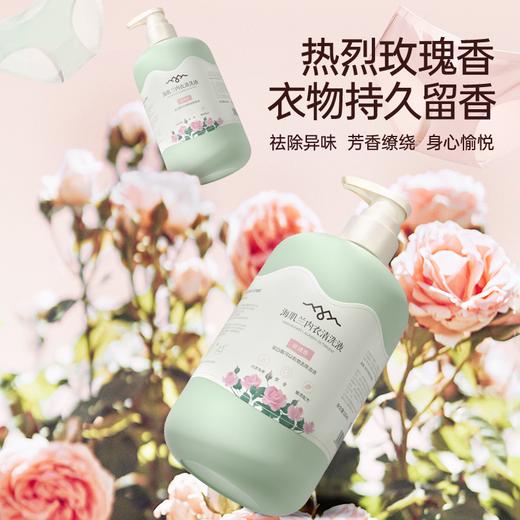 海肌兰内衣清洗液多香型-SY 商品图3