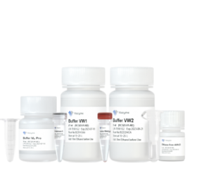 FastPure Viral DNA/RNA Mini Kit Pro