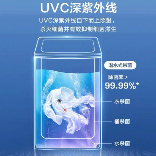 海尔（Haier）洗衣机XQS100-BZ358 商品图2