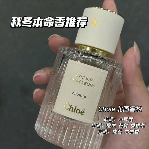 仙气飘飘！Chole蔻依仙境花园系列北国雪松/木兰诗语/烟雨茉莉女士香水50ml/150ml清新女士香氛 送香水礼品袋【CDF】 商品图7