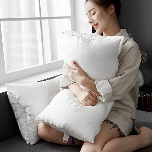 开诚Kaseen全棉双层鲍鱼枕单只/对枕39*64*20cm【品牌直发】A-1412 商品图4
