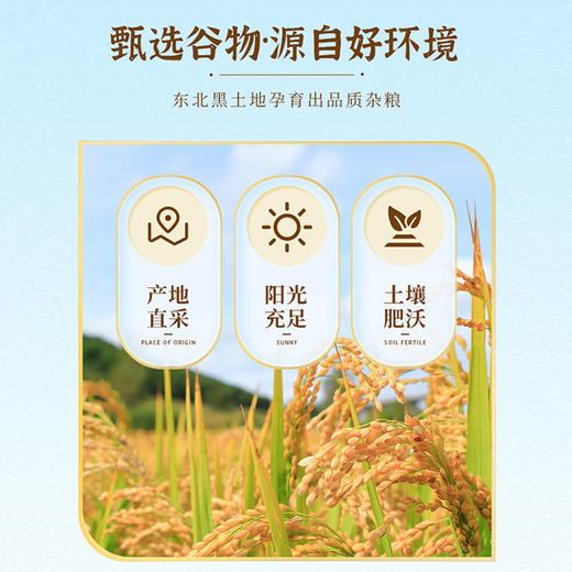 桂花藜麦粥五谷杂粮日常养生粥在胃里暖在心里 商品图4