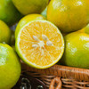 【广西特产】皇帝柑 广西皇帝柑  贡柑 新鲜水果 清甜可口   皮薄多汁  现摘现发 商品缩略图5