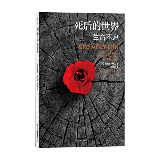 死后的世界 生命不息 雷蒙德·穆迪 著 心理学 商品图0