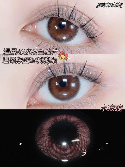 【年抛】小玫瑰 | 安视彩Anserua |  小直径14.0  着色13.2   (同品牌两副更划算,选款色板在详情页) 商品图0