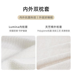 8H 慢回弹记忆棉 成人枕头护颈椎枕芯深度睡眠 H5混灰