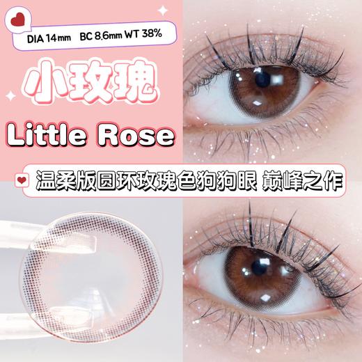 【年抛】小玫瑰 | 安视彩Anserua |  小直径14.0  着色13.2   (同品牌两副更划算,选款色板在详情页) 商品图3