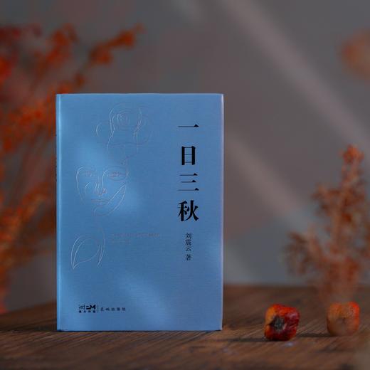 【茅盾文学奖作品】《刘震云作品集》（全4册）| 用幽默道尽中国人的心事~ 商品图2