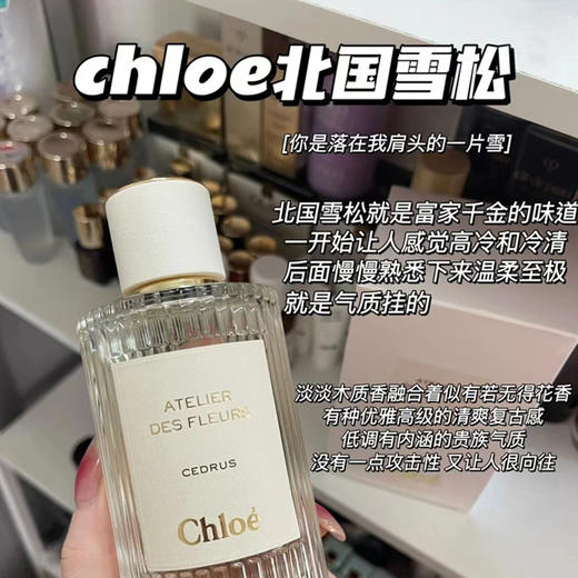 仙气飘飘！Chole蔻依仙境花园系列北国雪松/木兰诗语/烟雨茉莉女士香水50ml/150ml清新女士香氛 送香水礼品袋【CDF】 商品图11