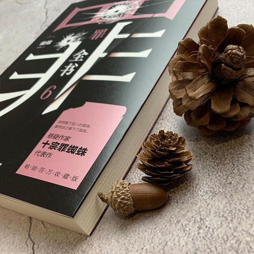 罪全书6 蜘蛛 著 文学 商品图1