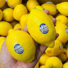 国产柠檬🍋（只）