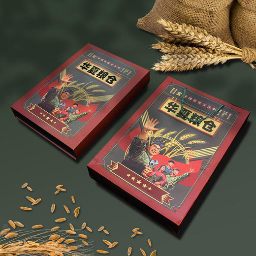 一次集齐！《华夏粮仓 》281枚粮票等票证！ 商品图0