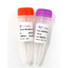 VAHTS Target Capture Universal Blockers and Post-PCR Primer Mix for MGI-SI 商品缩略图0