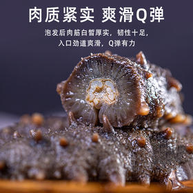 自营（新蓝田）-淡干辽参（大连）参250g（半斤 27-30个头）精美礼盒装 顺丰包邮