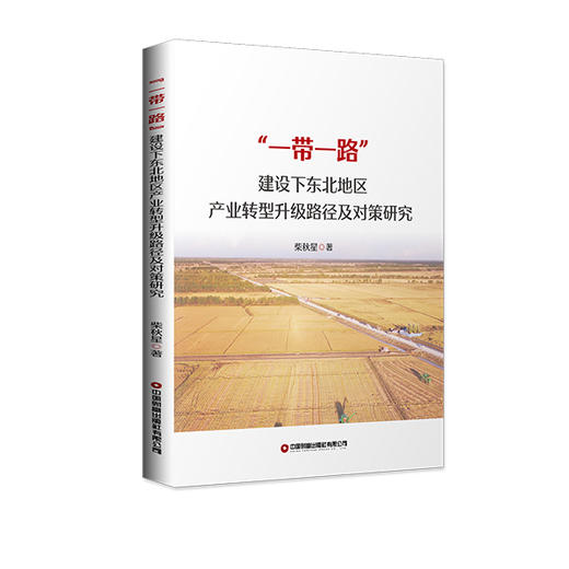 “一带一路”建设下东北地区产业转型升级路径及对策研究 商品图0