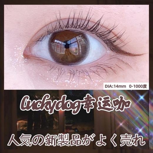 【年抛】幸运咖 | 安视彩Anserua |  小直径14.0  着色13.2   (同品牌两副更划算,选款色板在详情页) 商品图2